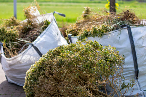 Best Dumpster Rental Services  in Pikesville, MD